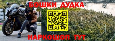 прущий лед Тара