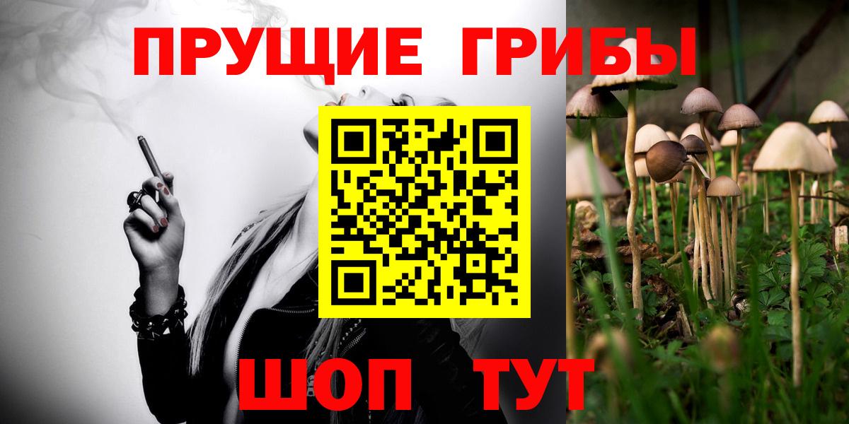Братск  Псилоцибиновые грибы GOLDEN TEACHER  Вход с VPN 